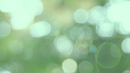 Obraz premium Green bio background, abstract blurred foliage bright sunlight. Organic design nature abstract background with copyspace for text advertising design. Green abstract light background and bokeh effect