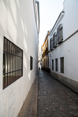 路地/Cordoba, Spain