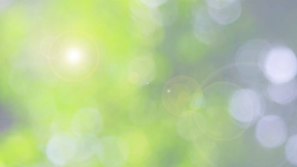 Nature green bokeh sun light flare and blur leaf abstract texture background, blurred natural green leaves white background. stock image of bokeh light from the sun through the leaves with copy space