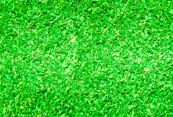 lawn