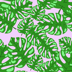 Seamless vector pattern with palm leaf or tropical leaf on pink background. Wallpaper and fabric design. Wrapping paper idea. Good for printing.