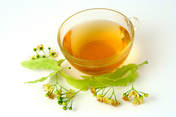 Linden infusion. Tilia platiphyllos or cordata.