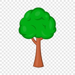 Tree icon. Cartoon illustration of tree vector icon for web