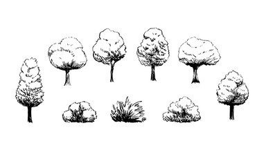 Sketch trees set hand drawn