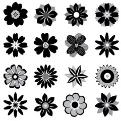 Fototapeta na wymiar A collection of flowers graphical in black and white