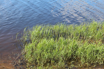  Islet of greenery in the blue Volga water