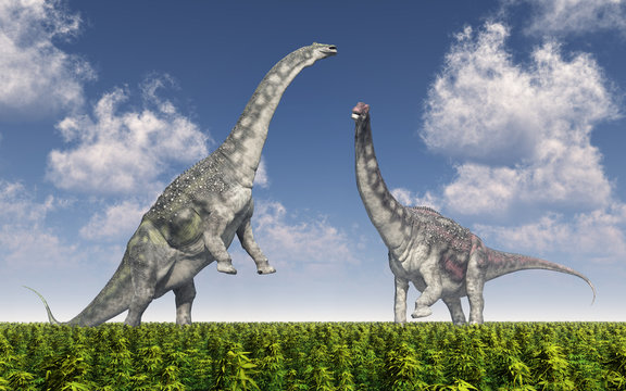 Dinosaurier Diamantinasaurus in einer Landschaft