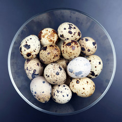 quail eggs lie in a plate on a dark background.
