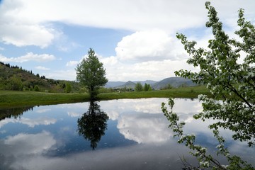 Fototapete bei efototapeten.de bestellen   