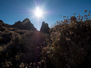 A spot in Tenerife with many rocks and a beautiful mountain landscape in the background