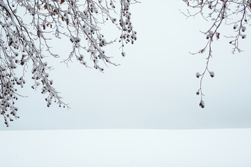 winter, schnee, landschaft