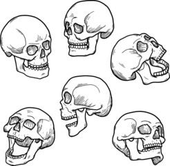 set of cartoon skulls