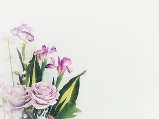 Obraz na płótnie Canvas bouquet of tulips on white background