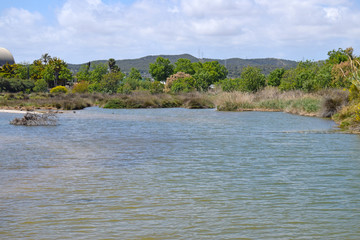  Desembocadura del rio Foix en provincia de Barcelona