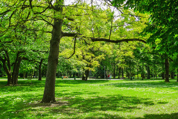 Park on Margaret Island, Budapest