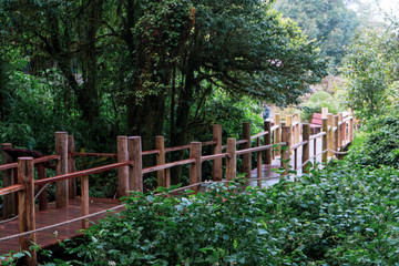 fence, nature, wood, bridge, tree, green, wooden, path, forest, grass, garden, summer, trees, park, old, landscape, gate, road, outdoors, trail, spring, countryside, natural, sky, rural