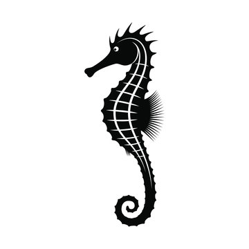 Seahorse graphic icon. Sea life symbol. Black silhouette seahorse isolated on white background. Seahorse high detailed sign. Tattoo. Vector illustratio