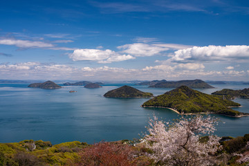 Cherry blossom with blue sky, sea and islands