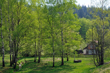 Naklejka premium wiesenlandschaft im zittauer gebirge