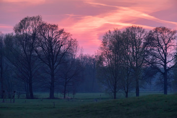 Fototapeta na wymiar Sunset in countryside with pink sky.