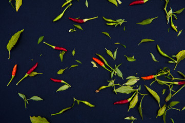 Chilli peppers and spices on the black background.