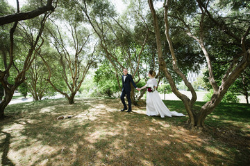 The groom in a suit and the bride in a wedding dress are walking in the park