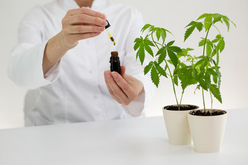 Scientist holding a bowl with cbd oil