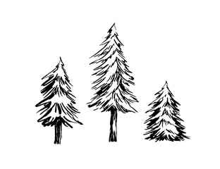 Fir trees ink sketches set vector