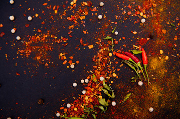 Chilli peppers and spices on the black background.