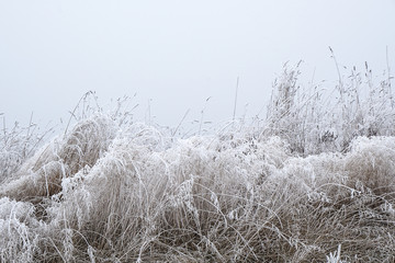 Winterimpression