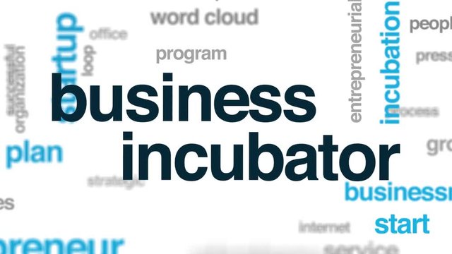 Business incubator animated word cloud. Kinetic typography.