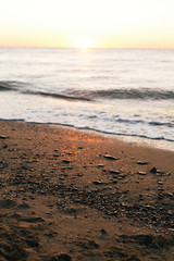 Beautiful sea waves foam closeup and sandy beach with seashells in sunrise light on tropical island. Waves in ocean at sunset. Tranquil calm moment. Summer vacation. Copy space