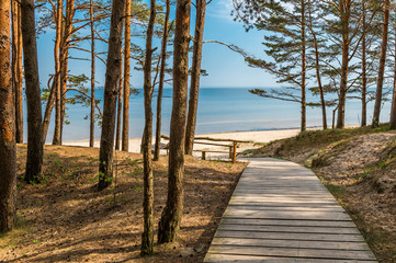 Pine forest, wooden footpath and a shore of the Baltic Sea, concept of ecological tourism in Europe