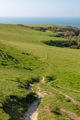 Fototapeta na wymiar A pathway on St Catherine's Down on the Isle of Wight, on a sunny morning