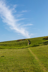 A pathway on St Catherine's Down on the Isle of Wight, on a sunny morning