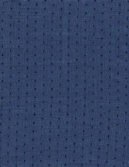 Fabric navy blue texture with abstract repeated dots