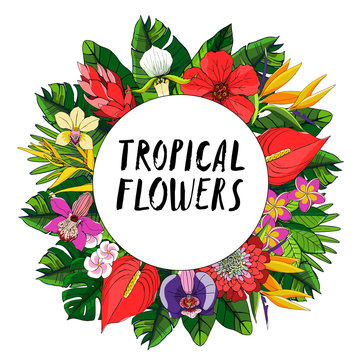 Tropical collection with exotic flowers and leaves. Vector design isolated elements on the white background.