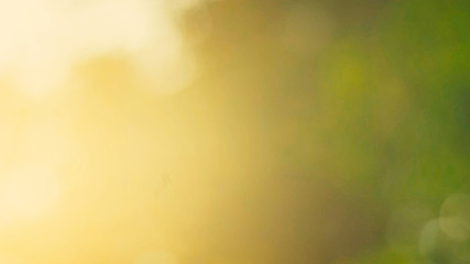 Nature yellow bokeh sun light flare and blur leaf abstract texture background, blurred natural...