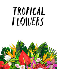 Tropical collection with exotic flowers and leaves. Vector design isolated elements on the white background.
