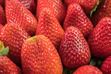 Many fresh and juicy strawberries.