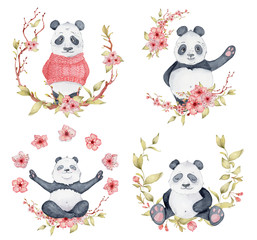 Panda bears in sakura wreaths, Cute animals set illustration