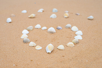 small seashells in the shape of a heart on a smooth sandy beach.
