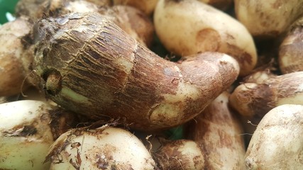 Closeup view of taro vegetable pile for sale in market