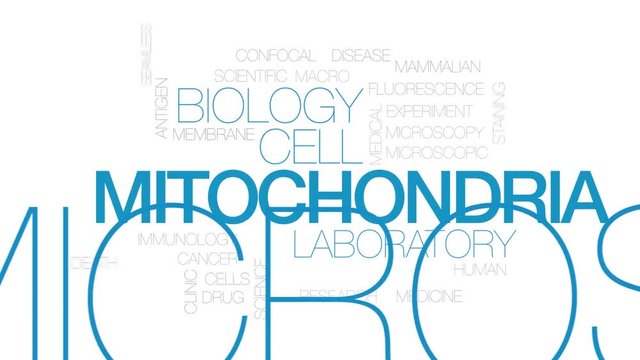 Mitochondria animated word cloud. Kinetic typography.