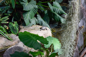 A day when viewing flowers