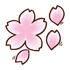 Colorful flower isolated on the white background for child