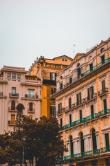 residential houses on a foggy day