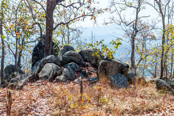 Stone forest, Pai, Thailand