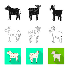 Vector illustration of breeding and kitchen  icon. Set of breeding and organic  stock symbol for web.
