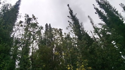 Conexión con el cielo